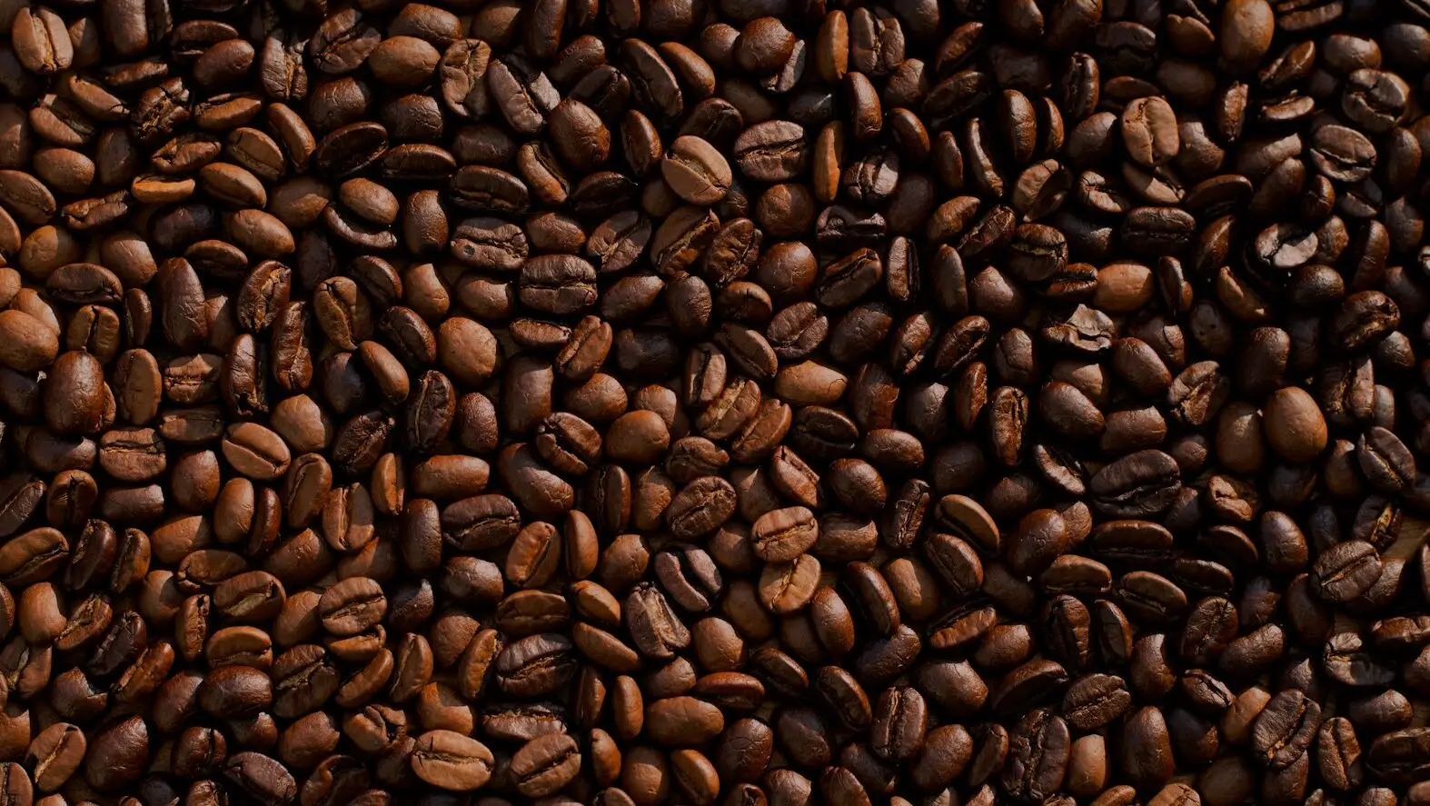 coffee bean lot