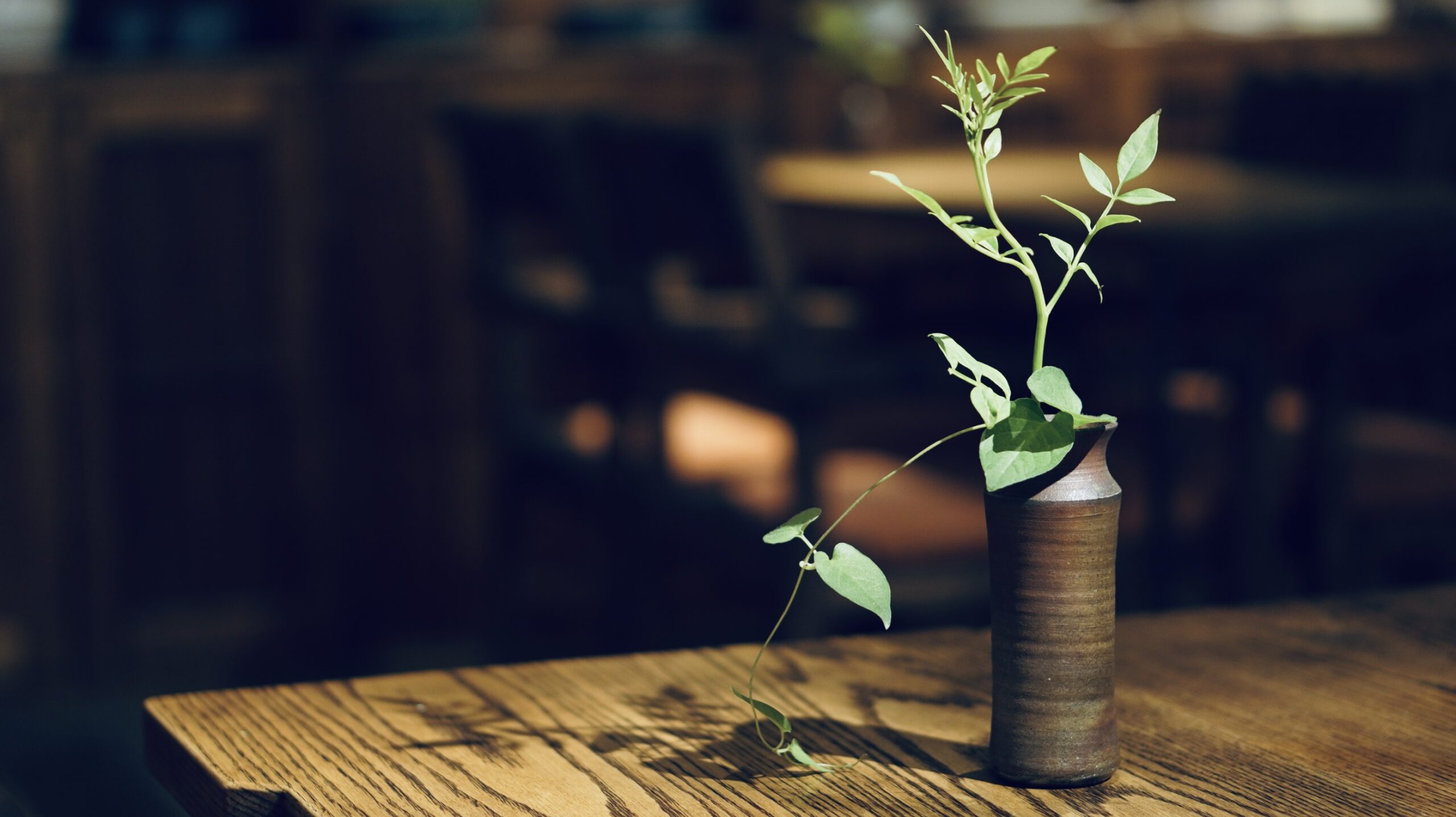お客さんが摘んでくれた草花。店内には大きな枝物や、季節の草花を生けています。支援してくださるメンバーさんのおかげで成り立っています。