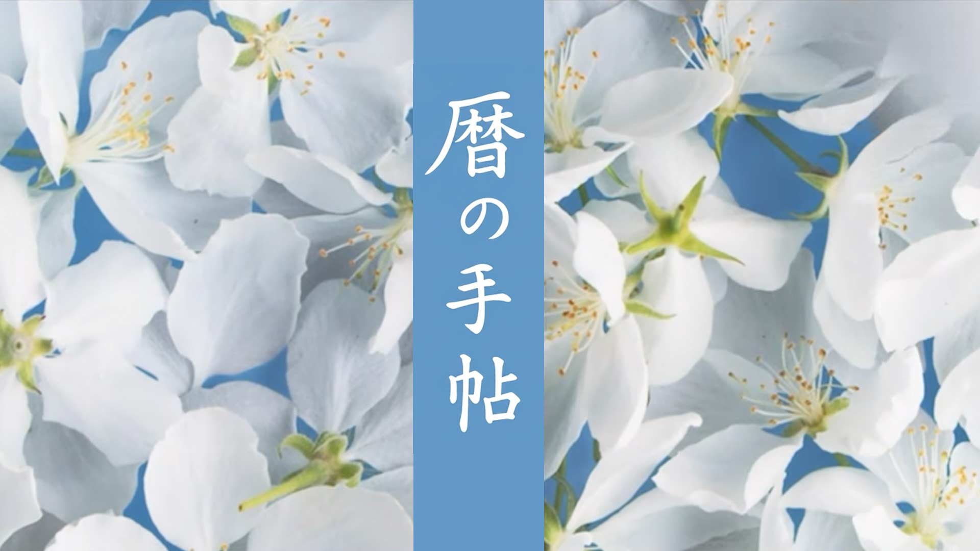 暦の手帖